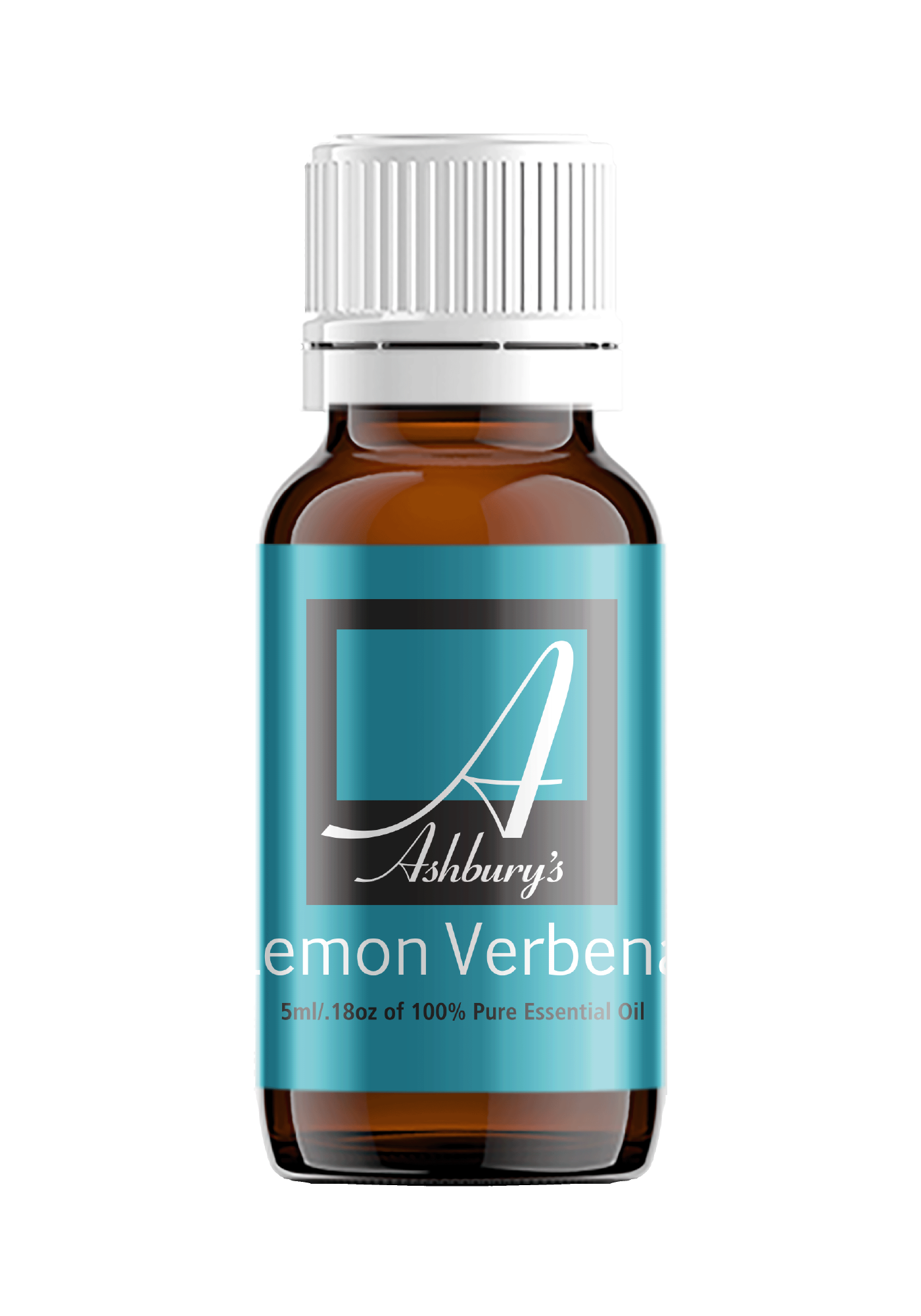 Lemon Verbena (Alosia triphylla)