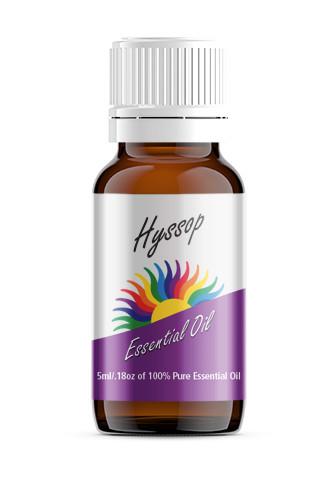 Hyssop (Hyssopus officinalis)