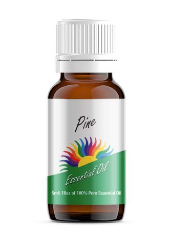 Pine (Pinus sylvestris)