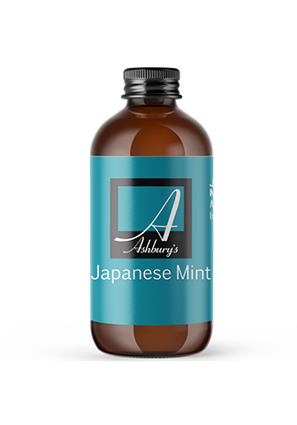 Mint, Japanese (Mentha arvensis)