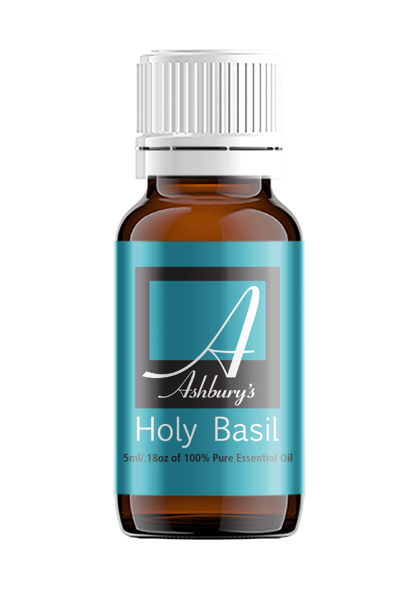 Holy Basil (Ocimum sanctum)