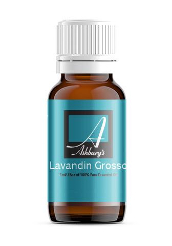 Lavandin (Lavandin Grosso)