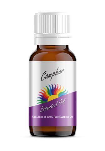 Camphor, White (Cinnamomum camphora)