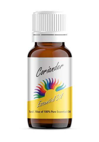 Coriander (Coriandrum santivum)