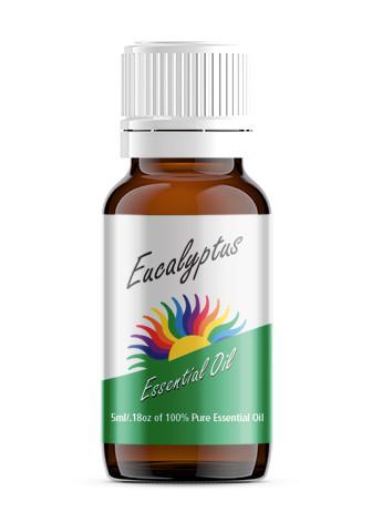 Eucalyptus, Globulus Premium (Eucalyptus globulus)