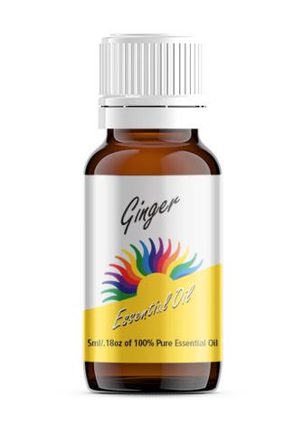 Ginger (Zingiber officinale)