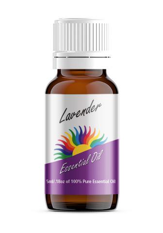 Lavender (Lavendula officinalis)