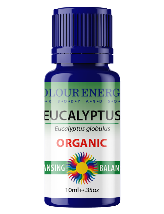Organic Eucalyptus Essential Oil