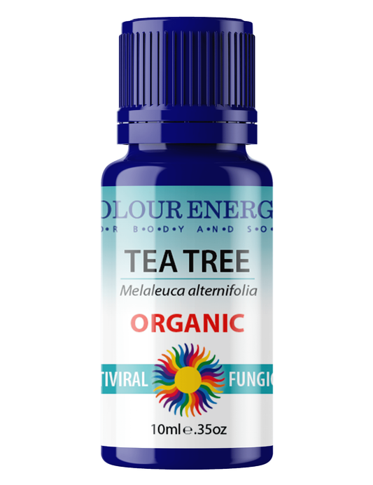Organic Tea Tree Essential Oil