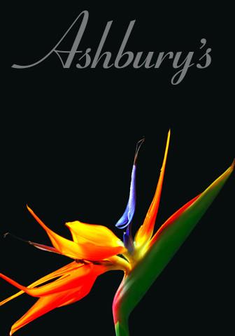 Colour Your Mood Mix, Garden of Eden - Bulk
