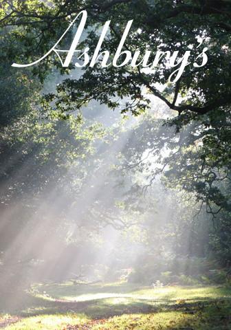 Colour Your Mood Body Blend, Forest Fantasy - Bulk